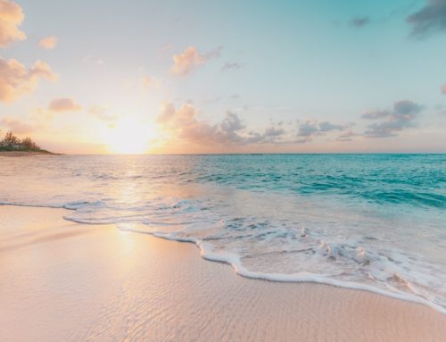 Top Things to Do in El Gouna, Red Sea